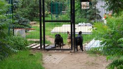 Lato z Pupilem [28.07.2026]