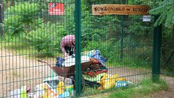 Lato z Pupilem [28.07.2026]