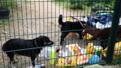 Lato z Pupilem [28.07.2026]