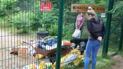 Lato z Pupilem [28.07.2026]
