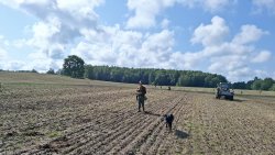 Znaleziska na polach Grunwaldu [25.08.2026]