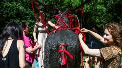 Protest aktywistów przy pomniku jelenia w Olsztynie [14.08.2026]