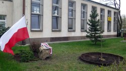 Uroczystość posadzenia Dębu Katyńskiego