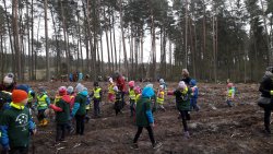 Święto Lasu 21.04.2017