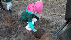 Święto Lasu 21.04.2017