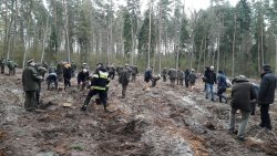 Święto Lasu 21.04.2017