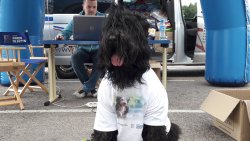 Przyjaciół się nie wyrzuca - studio wyjazdowe Polskiego Radia Olsztyn przed hipermarketem TESCO