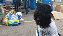 Przyjaciół się nie wyrzuca - studio wyjazdowe Polskiego Radia Olsztyn przed hipermarketem TESCO