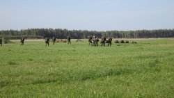 Ćwiczenia DRAGON17 na lotnisku w Szymanach