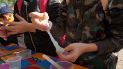 Europejska Noc Naukowców w Olsztynie