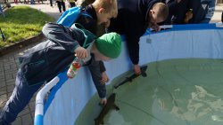 Europejska Noc Naukowców w Olsztynie