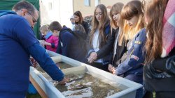 Europejska Noc Naukowców w Olsztynie