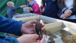 Europejska Noc Naukowców w Olsztynie