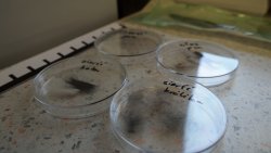 Europejska Noc Naukowców w Olsztynie