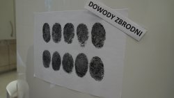 Europejska Noc Naukowców w Olsztynie