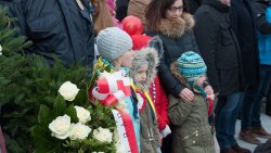 Wojewódzkie obchody Święta Niepodległości