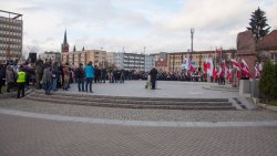 Wojewódzkie obchody Święta Niepodległości