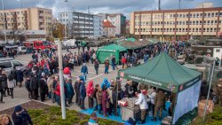 Wojewódzkie obchody Święta Niepodległości
