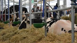 Mazurskie Agro Show w Ostródzie