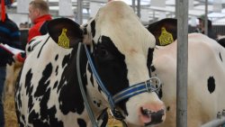 Mazurskie Agro Show w Ostródzie