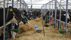 Mazurskie Agro Show w Ostródzie