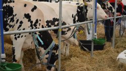 Mazurskie Agro Show w Ostródzie