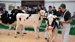 Mazurskie Agro Show w Ostródzie