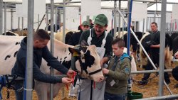 Mazurskie Agro Show w Ostródzie