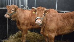 Mazurskie Agro Show w Ostródzie