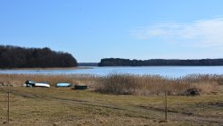 Wielkanocny zając od Radia Olsztyn