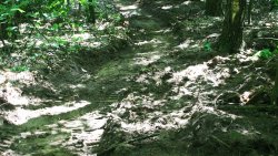 Ścieżka rowerowa Single Track pod Lidzbarkiem Welskim