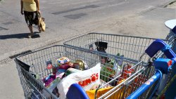 Ostatni przystanek akcji Lato z pupilem