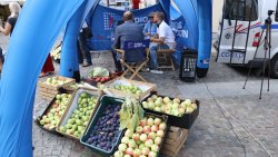 Dzień Polskiej Żywności