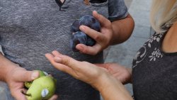 Dzień Polskiej Żywności