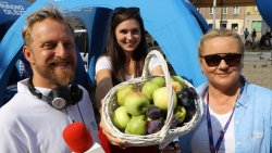 Dzień Polskiej Żywności