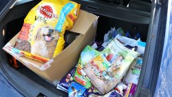 Ostatni przystanek akcji Lato z pupilem