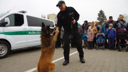 Piknik Militarny w Olsztynie