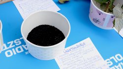 EKO Misja Radia Olsztyn w Szczytnie