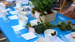 EKO Misja Radia Olsztyn w Szczytnie