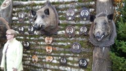 Targi myśliwskie w Ostródzie