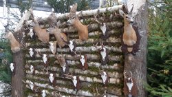 Targi myśliwskie w Ostródzie