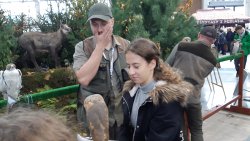 Targi myśliwskie w Ostródzie