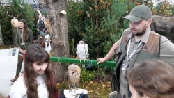 Targi myśliwskie w Ostródzie