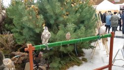 Targi myśliwskie w Ostródzie