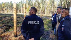 Sadzenie lasu z okazji 100-lecia Policji