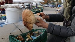 Bicie rekordu w prowadzeniu resuscytacji