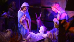 Szopka Bożonarodzeniowa w katedrze św. Jakuba