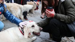 28. finał WOŚP w Olsztynie