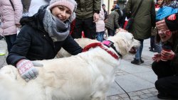 28. finał WOŚP w Olsztynie