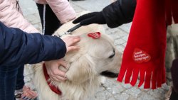 28. finał WOŚP w Olsztynie